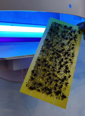 迪门子灭蝇灯粘纸 粘捕纸粘蝇纸抗紫光粘纸DMG-806,805 10张价格