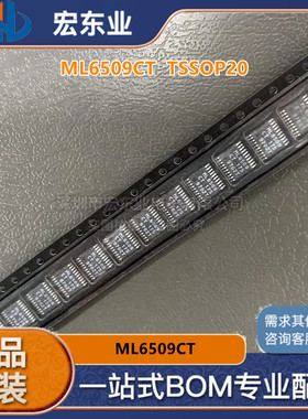ML6509CT    TSSOP20 原装正品MICRO 一站式配单可开票 拍前询价
