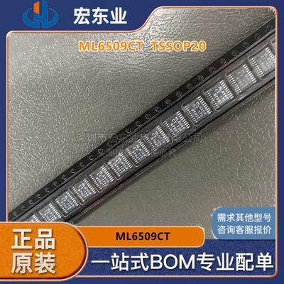 ML6509CT    TSSOP20 原装正品MICRO 一站式配单可开票 拍前询价