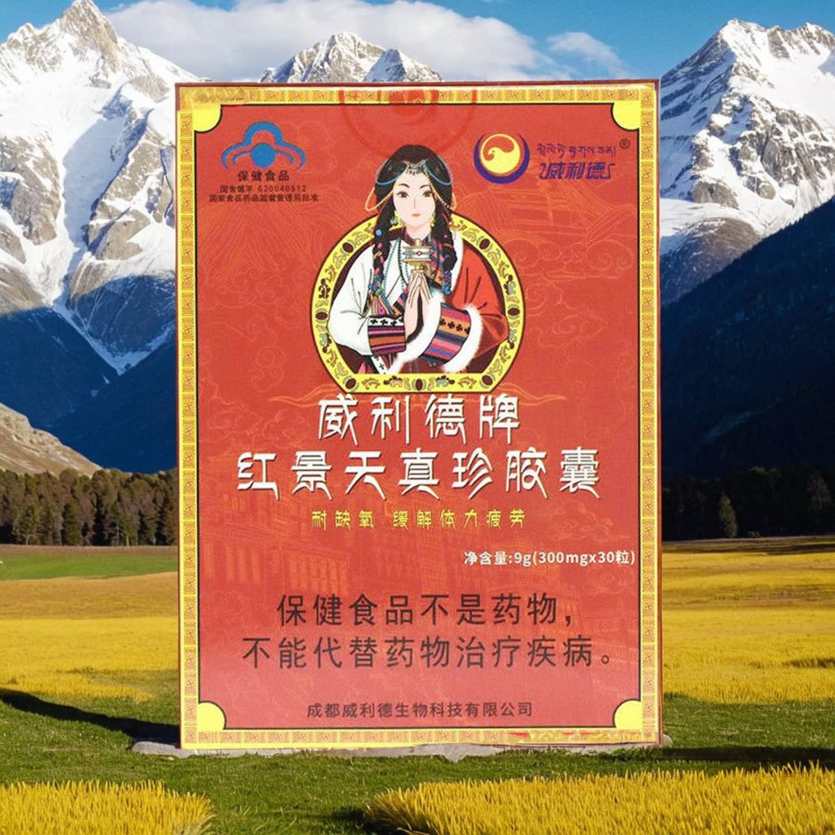 包邮威利德牌红景天真珍胶囊高原反应 西藏旅游另有氧气瓶葡萄糖