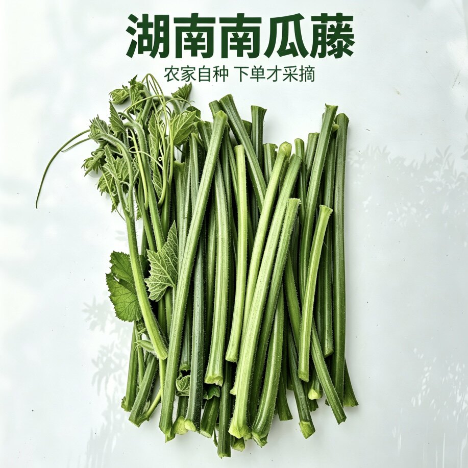 湖南南瓜藤新鲜自种嫩条嫩茎嫩南其它