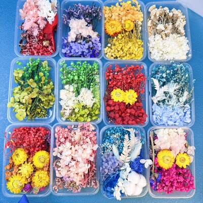 永生花干花材料包DIY相框贴画团扇浮游 团建活动花艺课武汉花材包