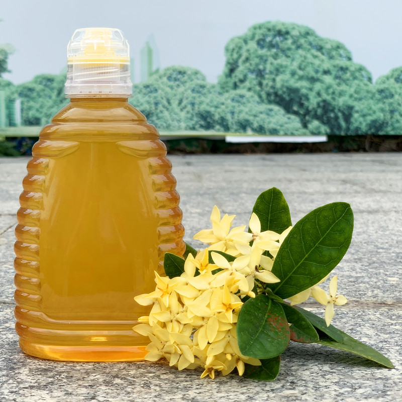 广东高州特产蜂蜜产地直发