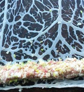 【东北特产农家院】生鲜猪网油猪油板油家用炼油食材包邮