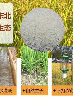 东北辽宁长粒香新鲜农家自产现磨2017新稻子5斤包邮自产直供天然