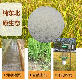 东北辽宁长粒香新鲜农家自产现磨2017新稻子5斤包邮自产直供天然