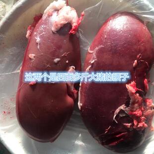 东北正宗农家新鲜土猪腰子自产现杀13元一个猪肾真空包装三对包邮