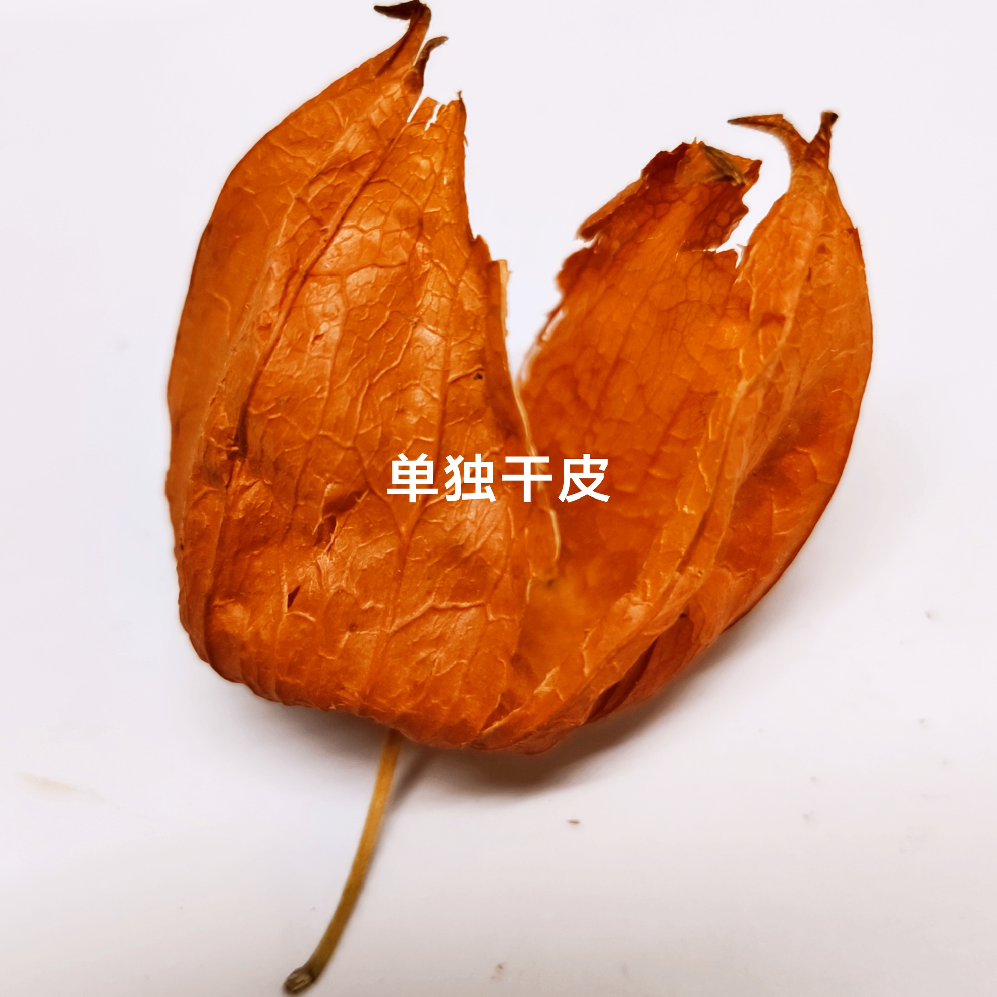 红姑娘皮干品红菇娘苦菇娘红姑鸟苦姑鸟苦姑娘灯笼果皮泡水茶