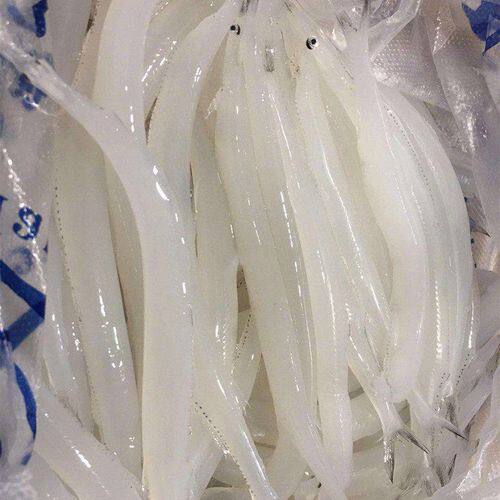 丹东银鱼淡水鱼