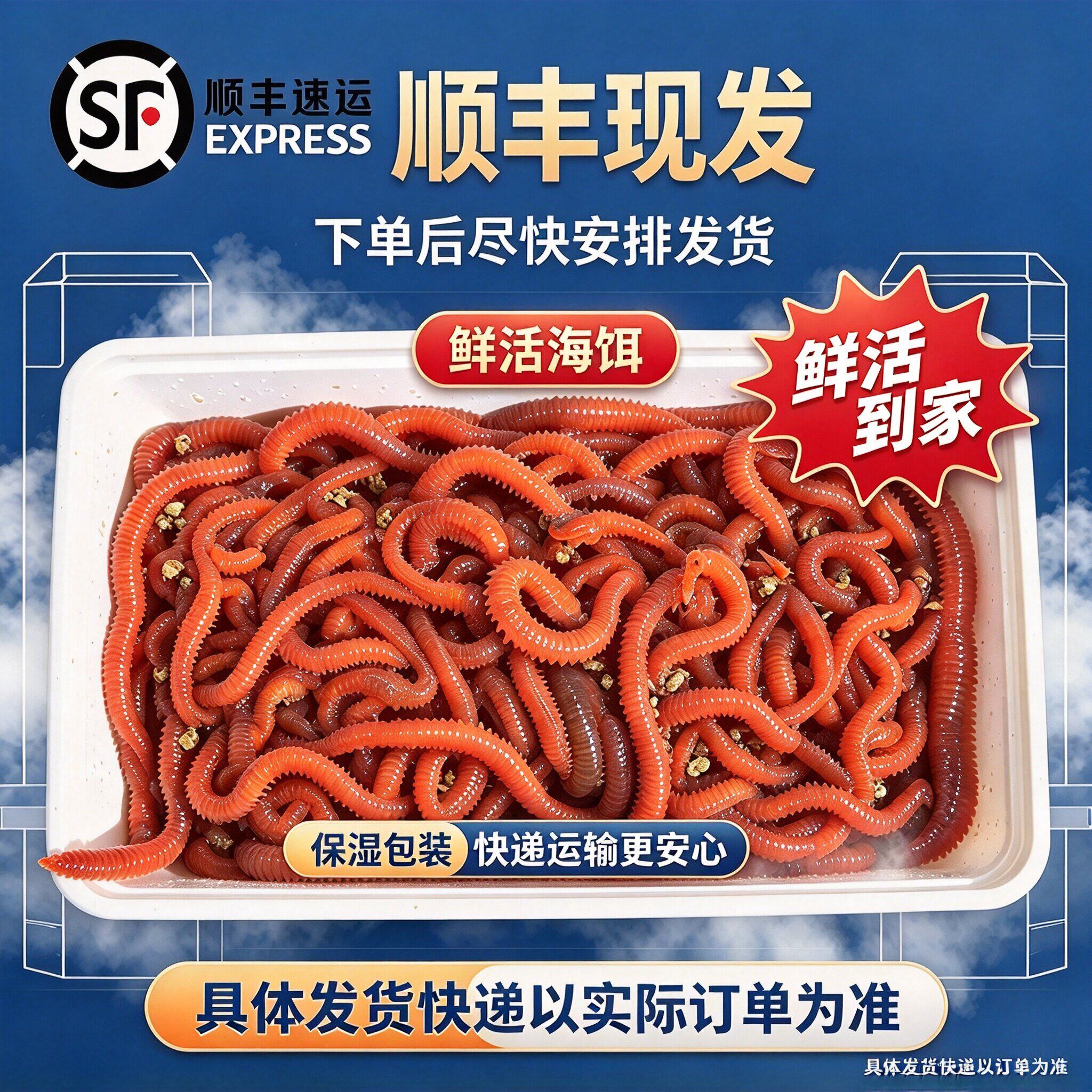 活沙蚕活饵海蜈蚣海蚯蚓海蚂蝗红青虫海钓鱼船钓路亚饵沙蚕鲈鱼饵