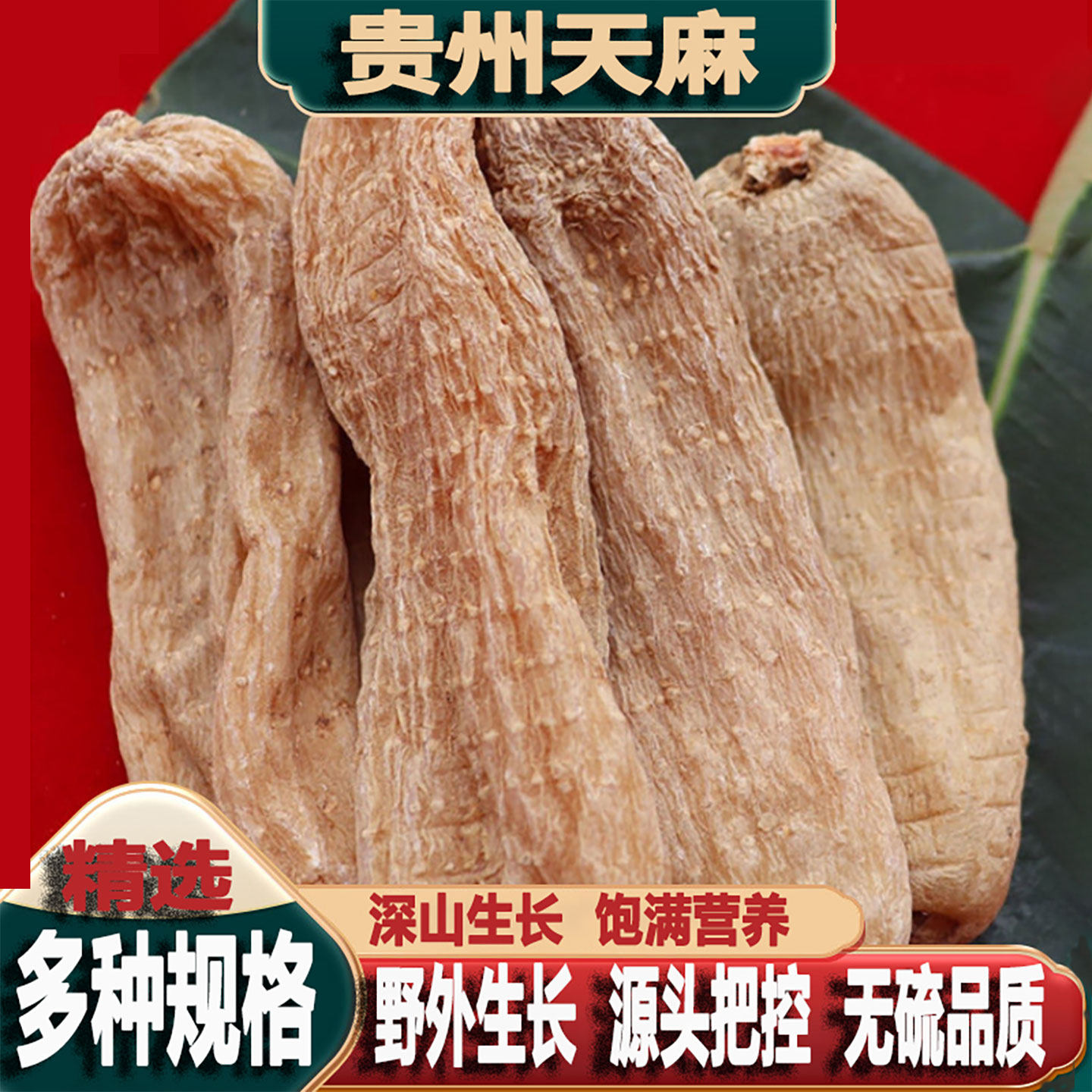 贵州特产毕节大方天麻正品仿野生干货无硫高品质中药材非饮麻片