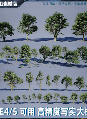 UE5虚幻4 写实高质量树木林植物 森林山林丛林 场景制作模型素材