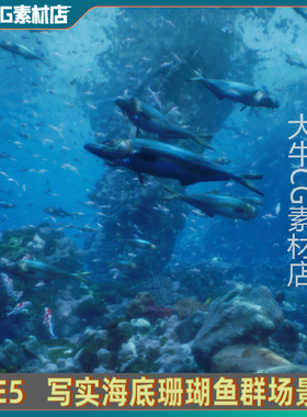 UE5虚幻海底场景 写实海底环境 鱼群游动海龟海底水下场景