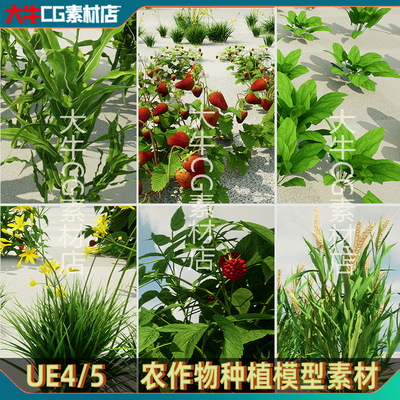 UE4/ue5虚幻 农作物蔬菜 草莓玉米苗咖啡覆盆子小麦菠菜果树模型