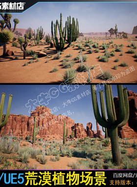 ue4虚幻5 荒漠戈壁植物岩石 沙漠仙人掌植物场景素材模型