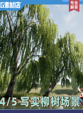 UE4虚幻ue5 写实岸边柳树 水塘垂柳春柳 柳树模型环境场景