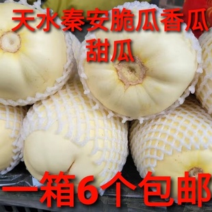 甘肃天水特产小吃新鲜水果天水秦安脆瓜甜瓜香瓜1箱6斤包邮