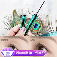 Gemeng đỏ với cùng một đoạn mascara con công không thấm nước uốn cong dài không làm nhòe đầu dài nhỏ - Kem Mascara / Revitalash chuốt mascara maybelline