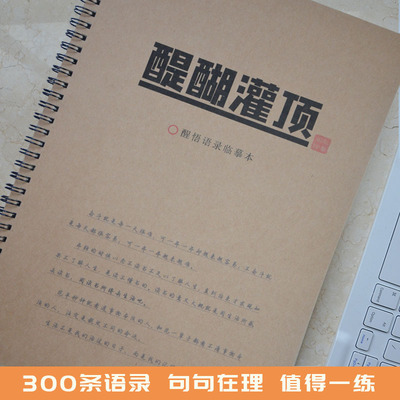 人生哲理正能量文案语录本字帖练字大学生瘦金体高中生硬笔临摹本