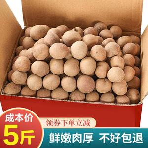 福建特产莆田整箱批发冲干货桂圆龙眼干皮薄肉厚核小鲜嫩煲汤煮茶