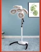 Корейский феном белый