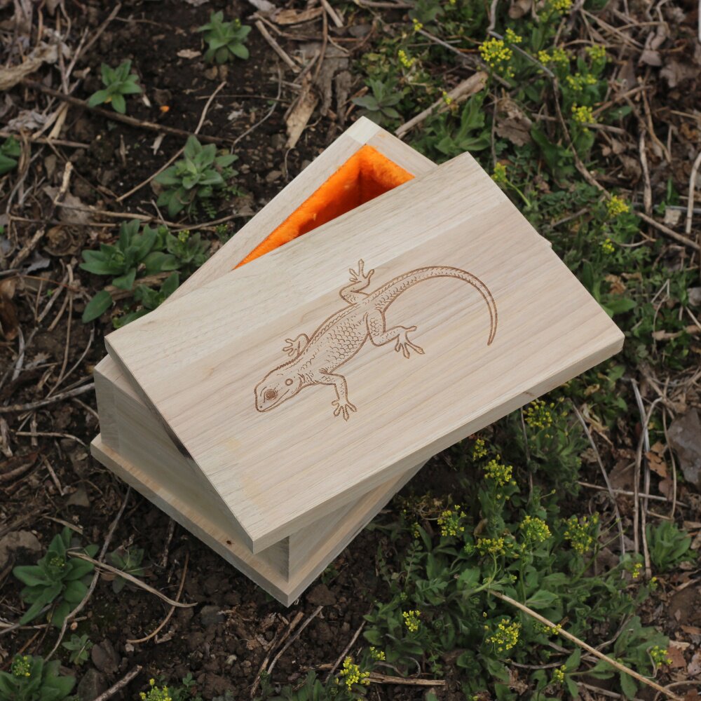 实木宠物蜥蜴娃娃鱼马蛇子蛇蛙仓鼠蛙鱼鸟用小棺材定制刻图刻字