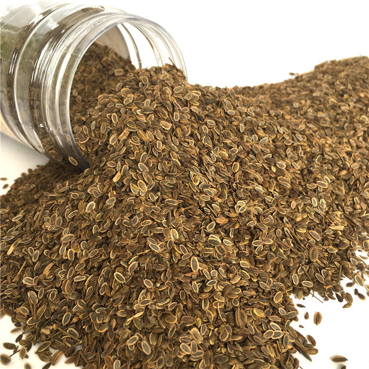 民勤小茴香茶炒熟茴香吃免洗250克/500克袋装