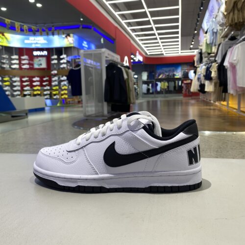 NIKE耐克男鞋板鞋BIG NIKE LOW低帮轻便运动鞋休闲鞋355152-109