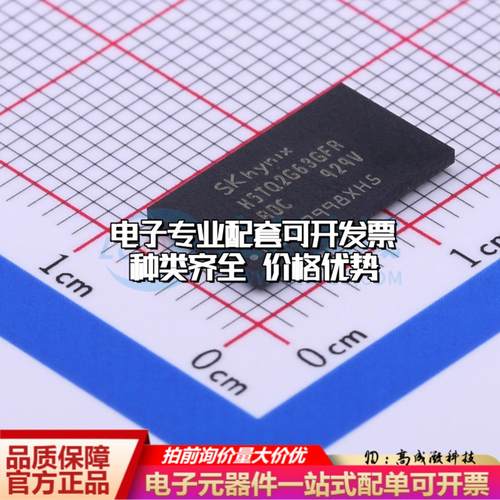 全新正品H5TQ2G63GFR-RDC FBGA-96 DDR SDRAM质量保证