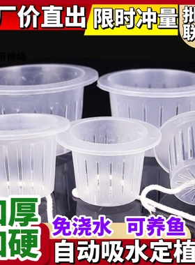 水培植物定植篮土培植物玻璃瓶水培器皿花瓶固根器花盆水培固定篮