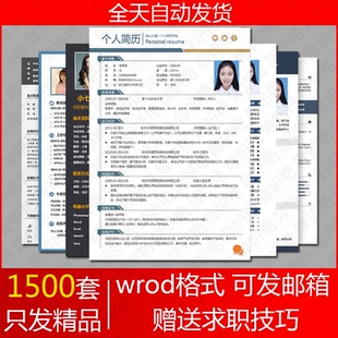 简历模板个人求职 锤子简历空白模板100chui 500丁五百丁全民简历