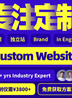 Website Design Dev企业官网外贸网站建设品牌独立站搭建定制网页