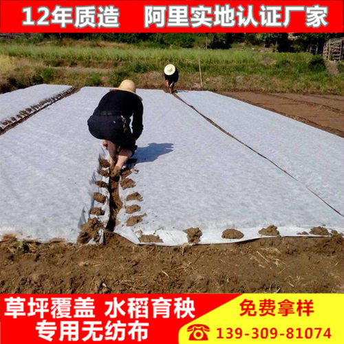 包土球无纺布无纺布水稻育秧农用