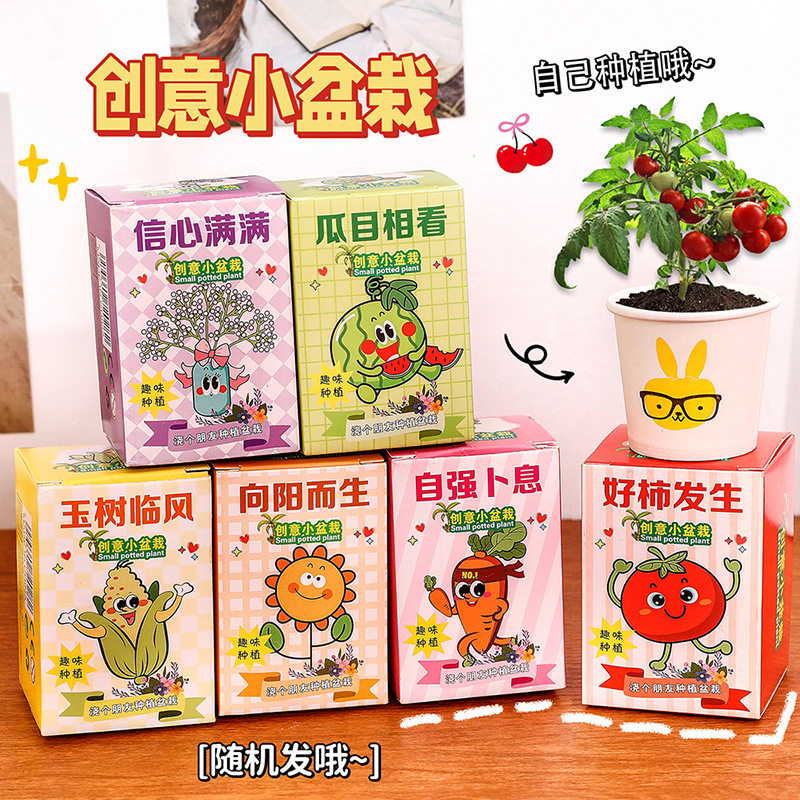 创意小盆栽番茄玉米向日葵种植观察盒儿童科学实验玩具卡通六一礼