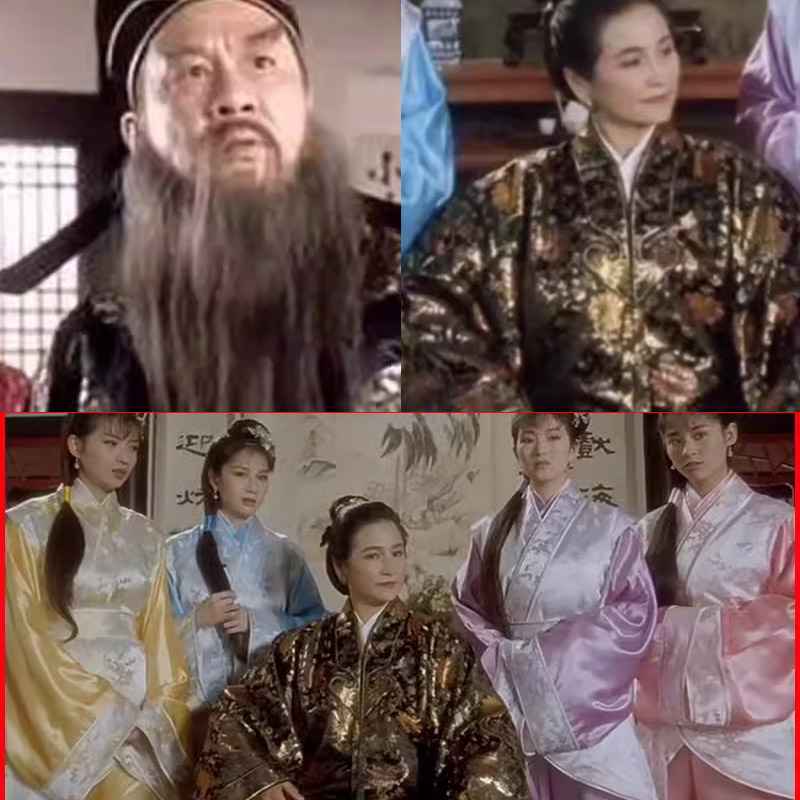 江南四大才子明朝唐伯虎点秋香同款华夫人太师丫鬟祝枝山演出服装