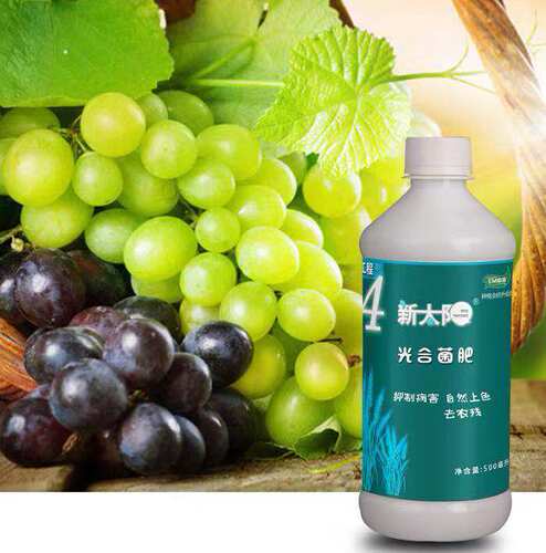 菌肥有机天意EM原露抗病