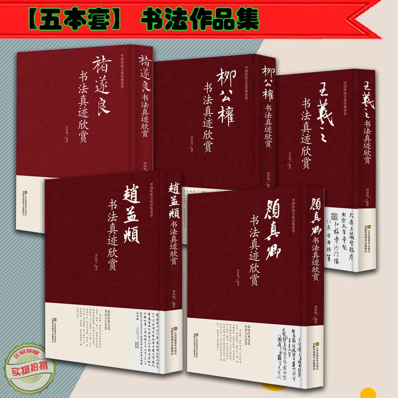 【5本套】书法作品集 王羲之颜真卿赵孟頫柳公权诸遂良碑帖鉴赏行书楷书毛笔字帖柳体颜体字帖兰亭序多宝 临摹