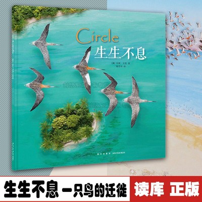 生生不息 一只鸟的迁徙 壮阔视野下的生命 斑尾塍鹬 拼贴画 读小库儿童书绘本 3-6岁9787513322560读库正版