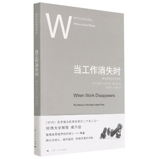 都市文化研究译丛 世界 城市新穷人 当工作消失时