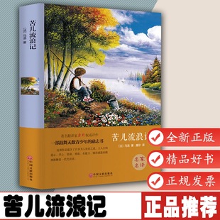 苦儿流浪记小学生中学生初中书 世界经典文学小说名著原著原版完整版课外读物带插图正版书籍 名家名译 中9787519006037