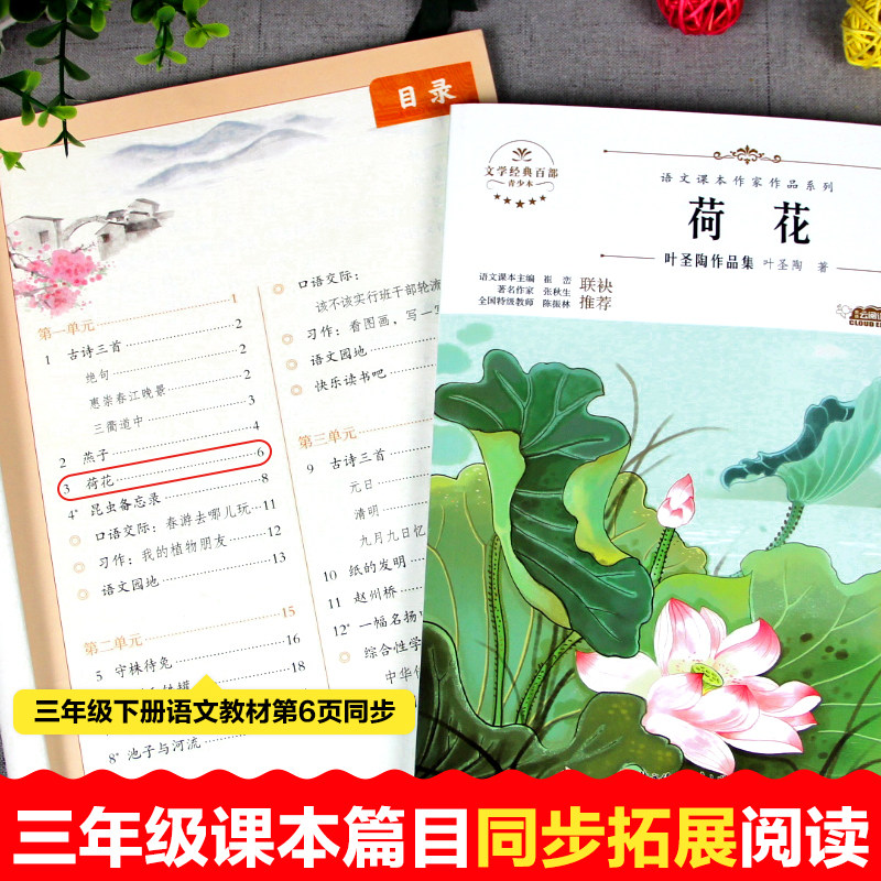正版 叶圣陶荷花小学生语文课本作家作品系列三年级课外书 阅读畅销
