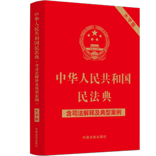 中国法制出版 社 大字版 中华人民共和国民法典 9787521631425 含司法解释及典型案例 2024年