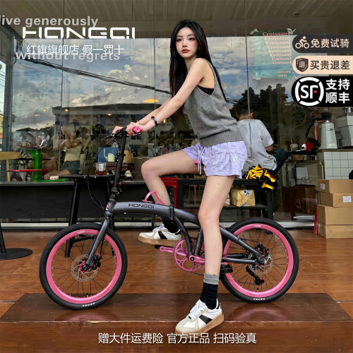 折叠自行车带娃带小孩亲子车