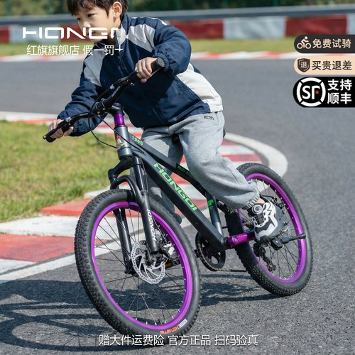 红旗内走线双碟刹男女儿童自行车