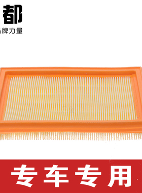 适用于空气滤芯宝马迷你COOPER R50 R52 R53 1.6L 空气滤清器专用