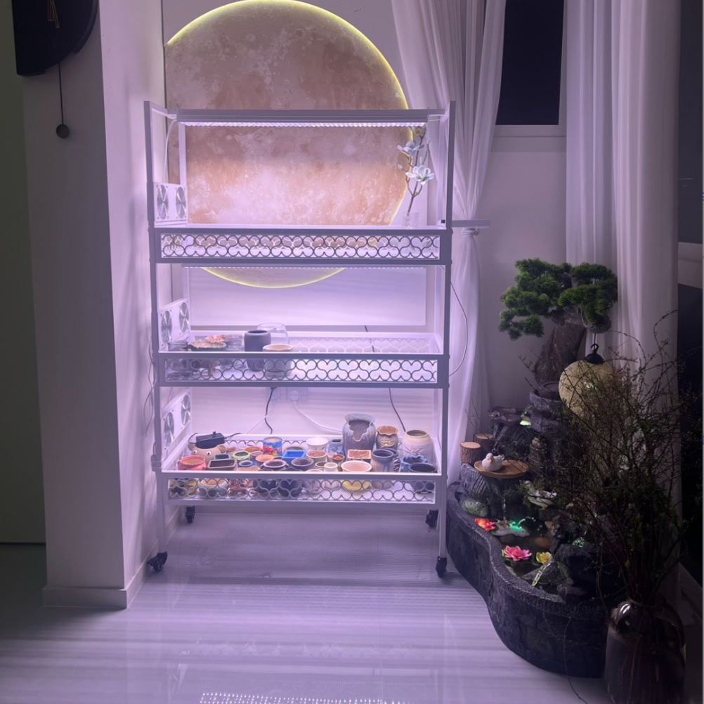 知三月升级爱心款镂空多肉花架带灯架可配调速风扇（不含补光灯）,住宅家具,花架/花几,淘宝优惠券,粉丝福利购,淘宝优惠卷