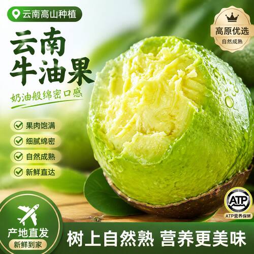哈斯牛油果当季即食孕妇水果鳄梨宝宝辅食整箱新鲜水果非进口