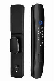 雷杨全自动指纹锁家用防盗门人脸识别智能门锁密码锁智能锁电子锁