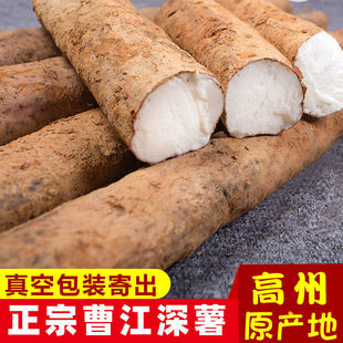 广东高州产地曹江深薯粉糯淮山薯农家种新鲜现挖5/8斤新鲜挖山药