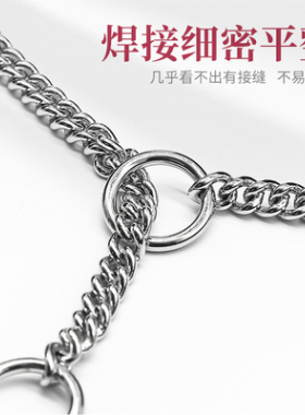 alvalley美国进口赛级犬专用P链牵引绳大中小型犬金毛边牧训练